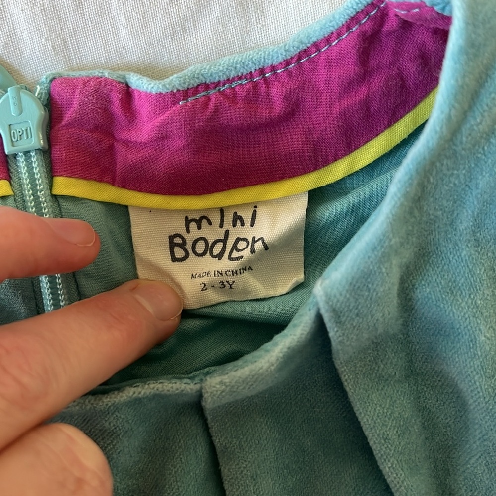 Mini Biden Embroidered Dress - Picture 3 of 3